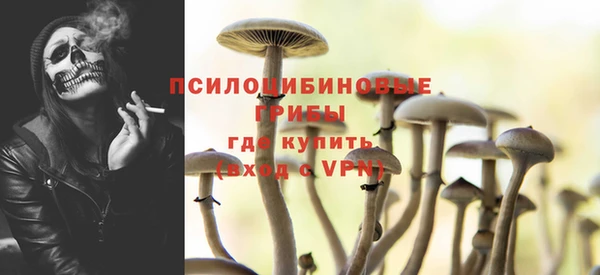гидра Алексеевка