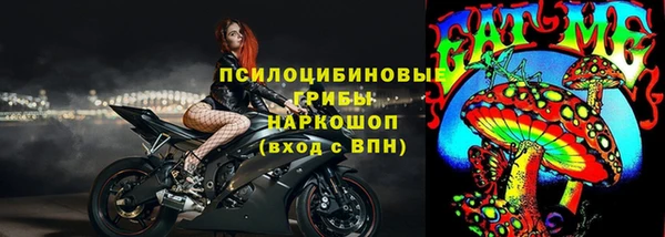 винт Наволоки