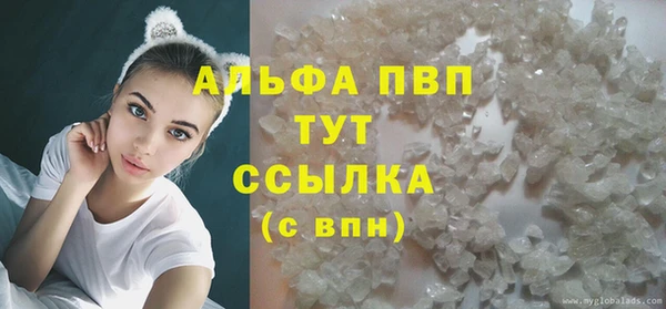 гидра Алексеевка